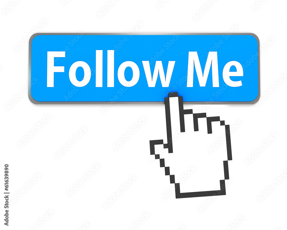 Follow Me button Follow Me button