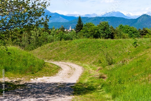 Rural landscape with gravel road