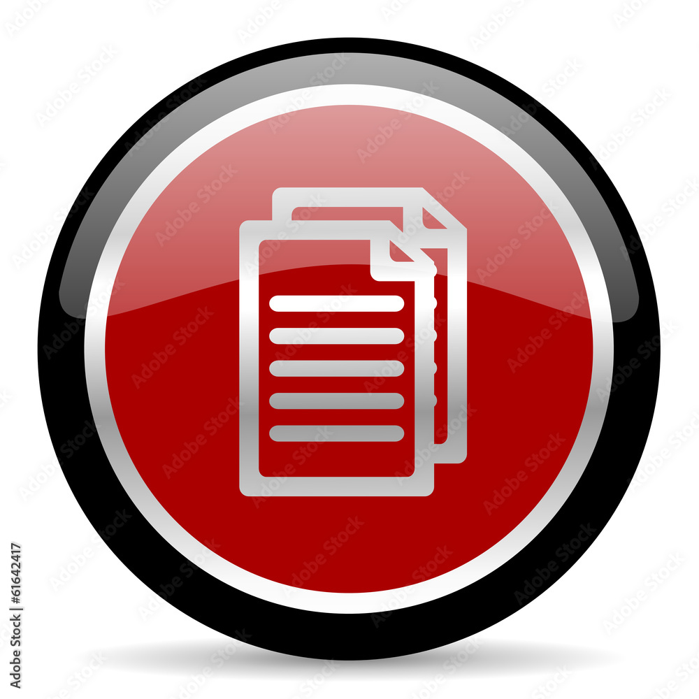 document icon document icon