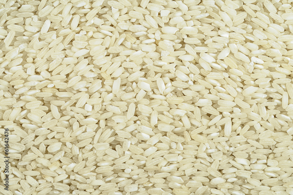 Rrice grain Rrice grain