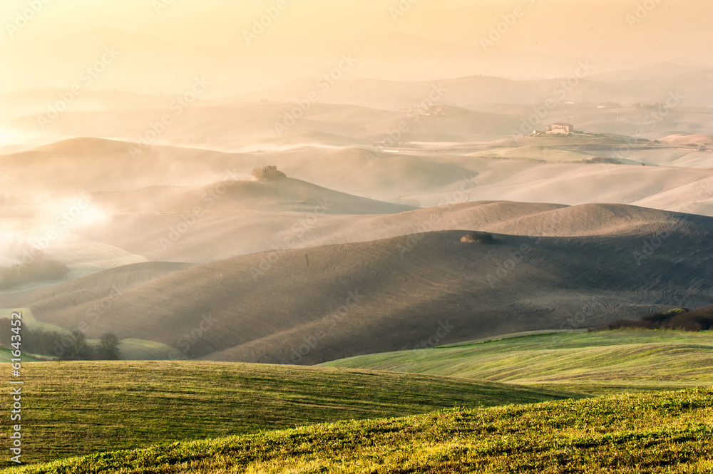 Fototapeta premium Colline Toscane