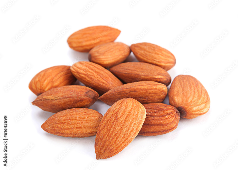 Almond nut seed Almond nut seed
