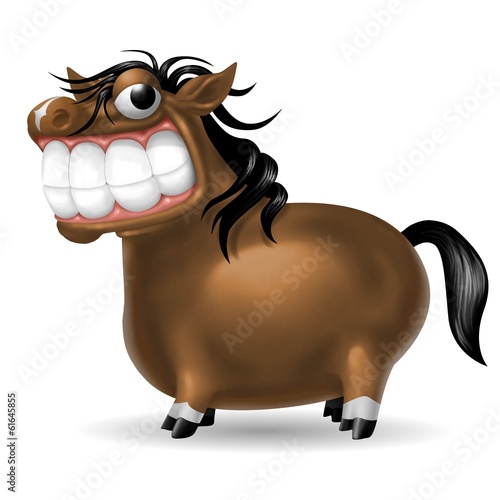 Fototapeta Naklejka Na Ścianę i Meble -  cavallo smile