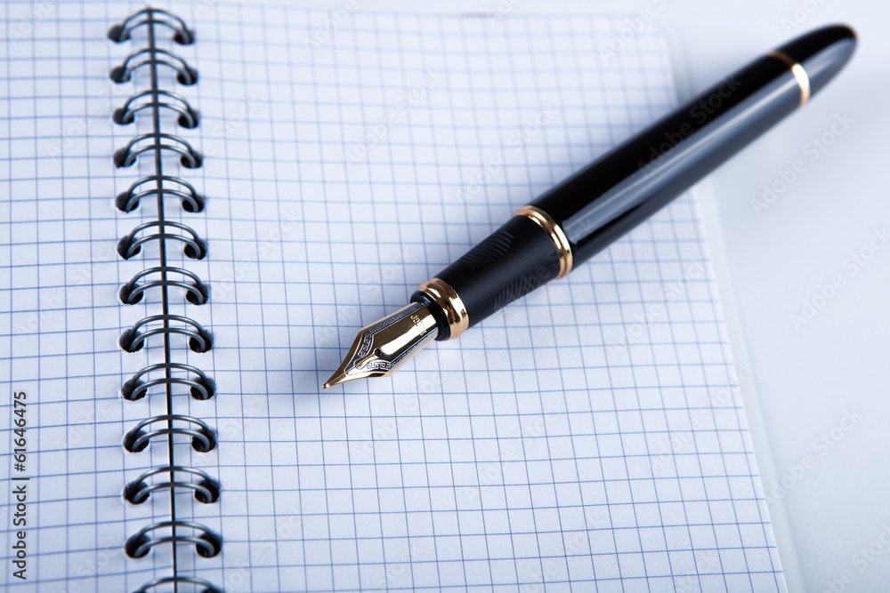 diary with fountain pen 14 diary with fountain pen 14