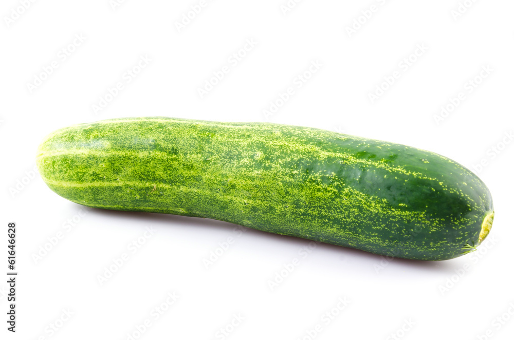 Cucumber Cucumber