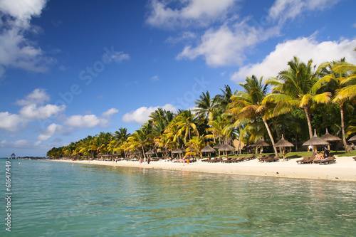 Tropical beach with palm trees © RoCe
