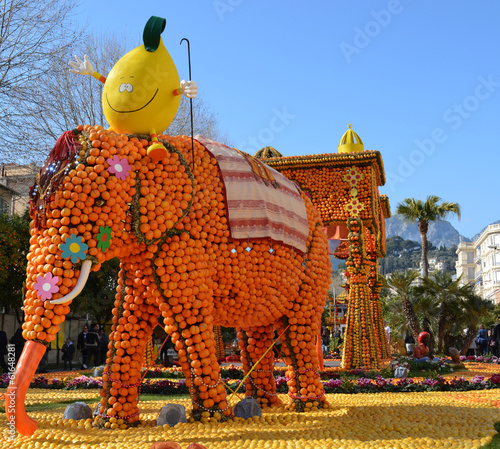 Photography Eléphant en citrons