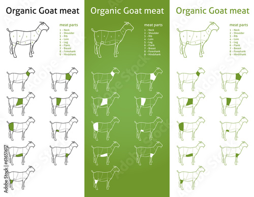 ORGANIC GOAT meat parts Icons for packaging and info-graphic 2