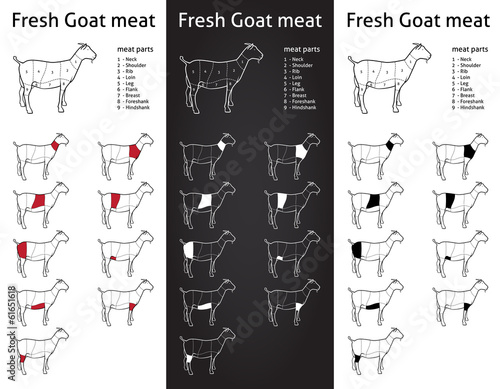 FRESH GOAT meat parts Icons for packaging and info-graphic 1
