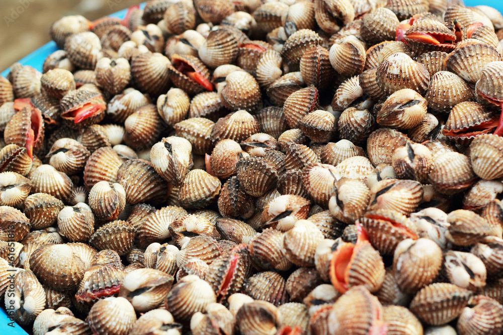 Fresh cockles at the market