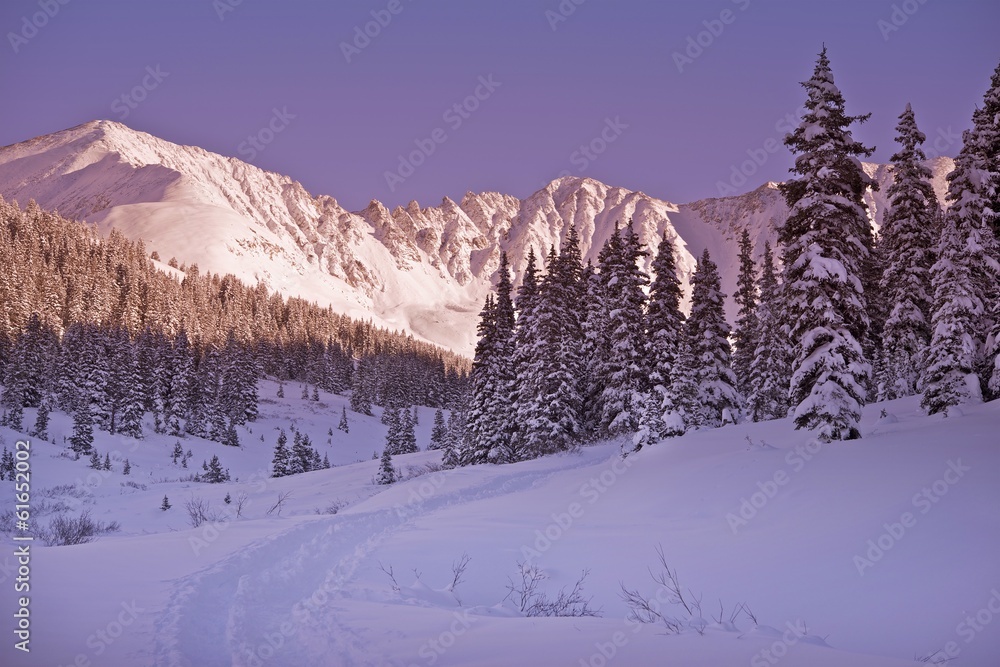 Fototapeta premium Scenic Winter Colorado