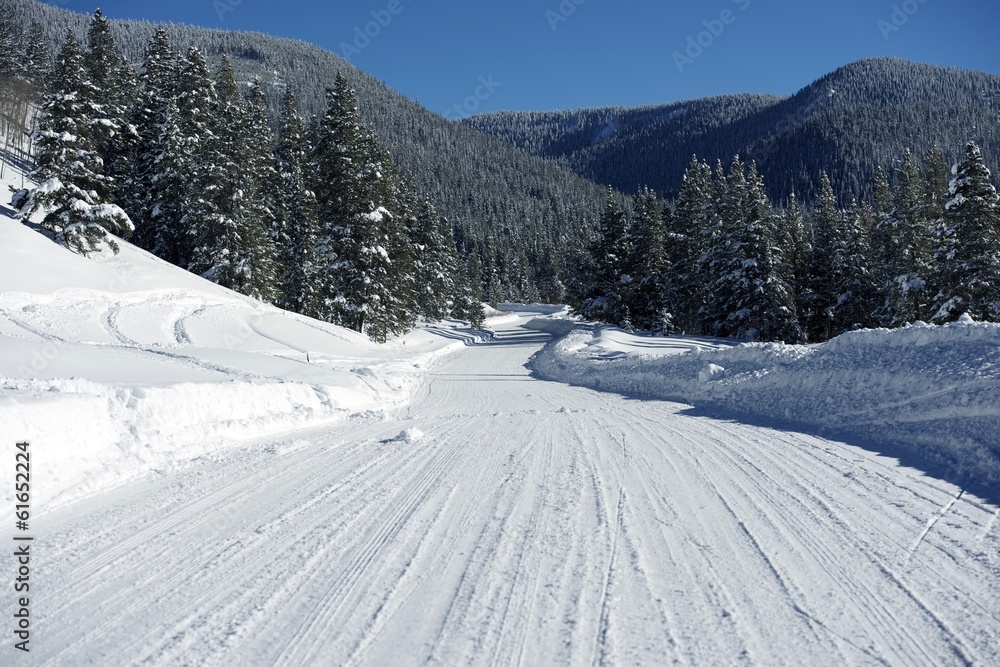 Obraz premium Backcountry Colorado Road