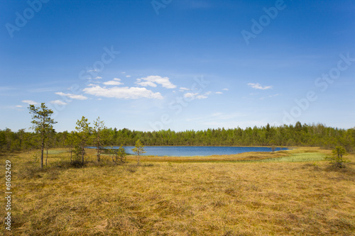 Lake in the swamp © Maslov Dmitry