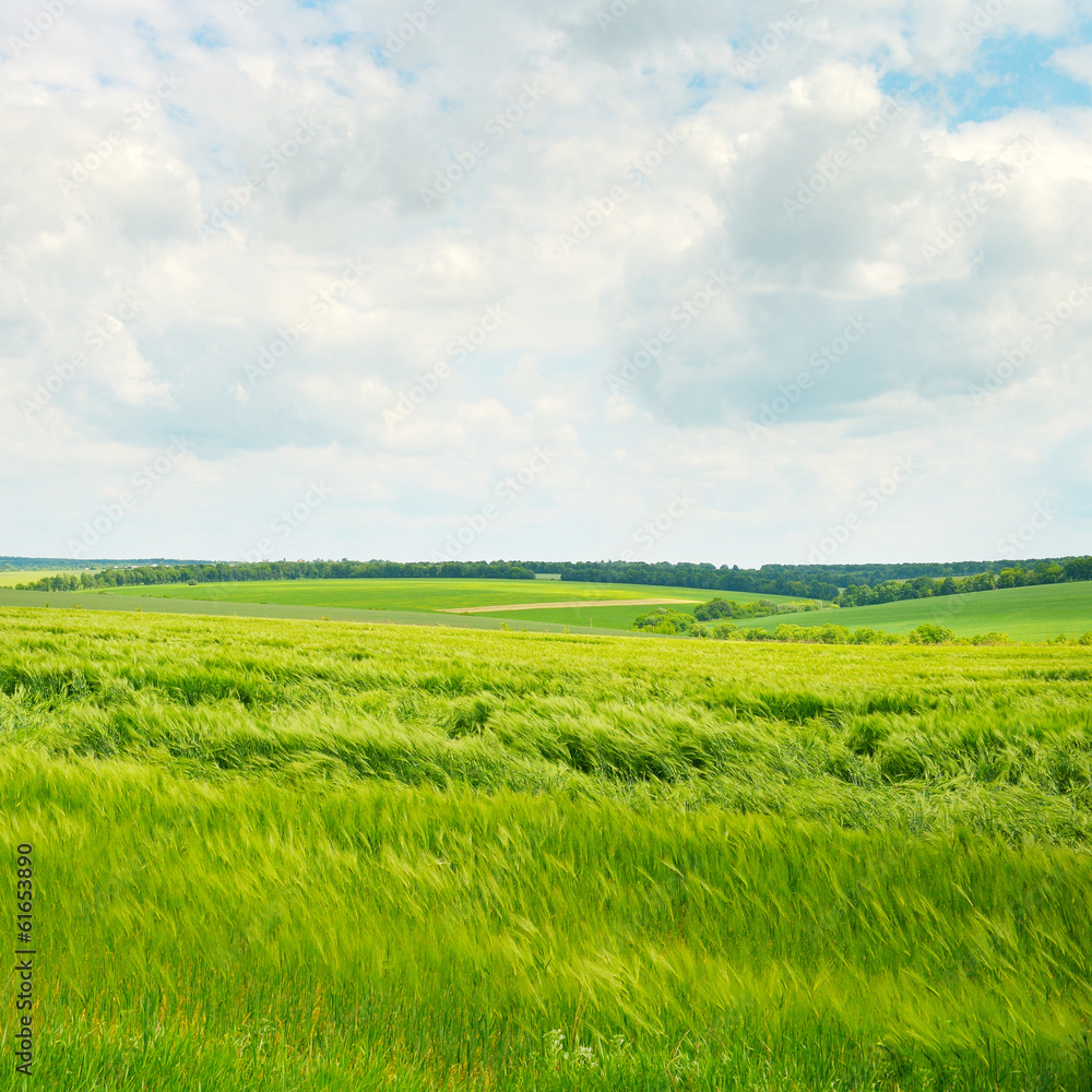 fields and clouds