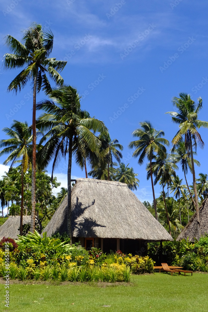 Traditional bure with thatched roof, Vanua Levu island, Fiji