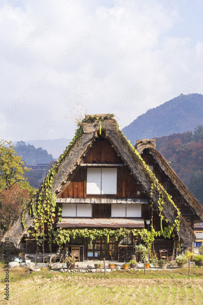 Cottage and rice field in small village shirakawa-go japan. autu