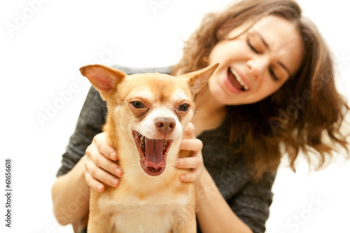 beautiful young woman with chihuahua dog isolated