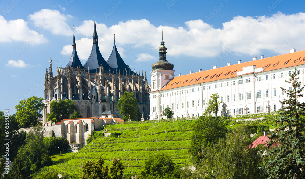 Cathedral of St. Barbara and Jesuit College, Kutna Hora, Czech R