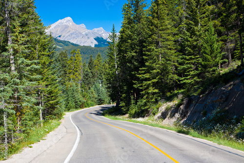 Banff national park road, Alberta, Canada