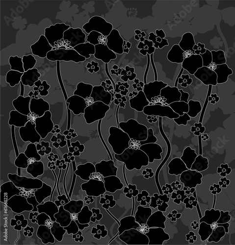 Poppies flower picture