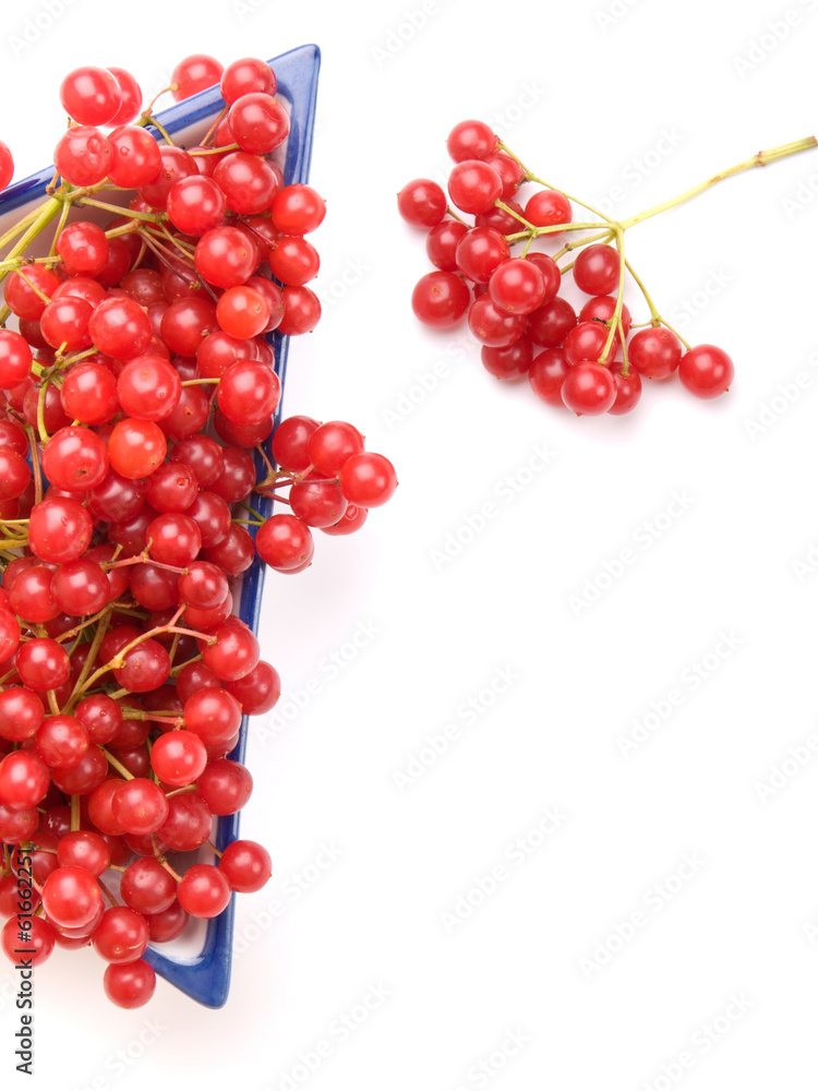 Fresh cranberries in dish isolated on white background Fresh cranberries in dish isolated on white background