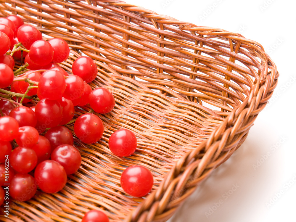 Fresh cranberries in basket isolated on white background Fresh cranberries in basket isolated on white background