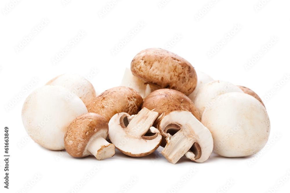 mushroom on white