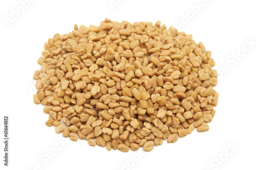 Fenugreek photo