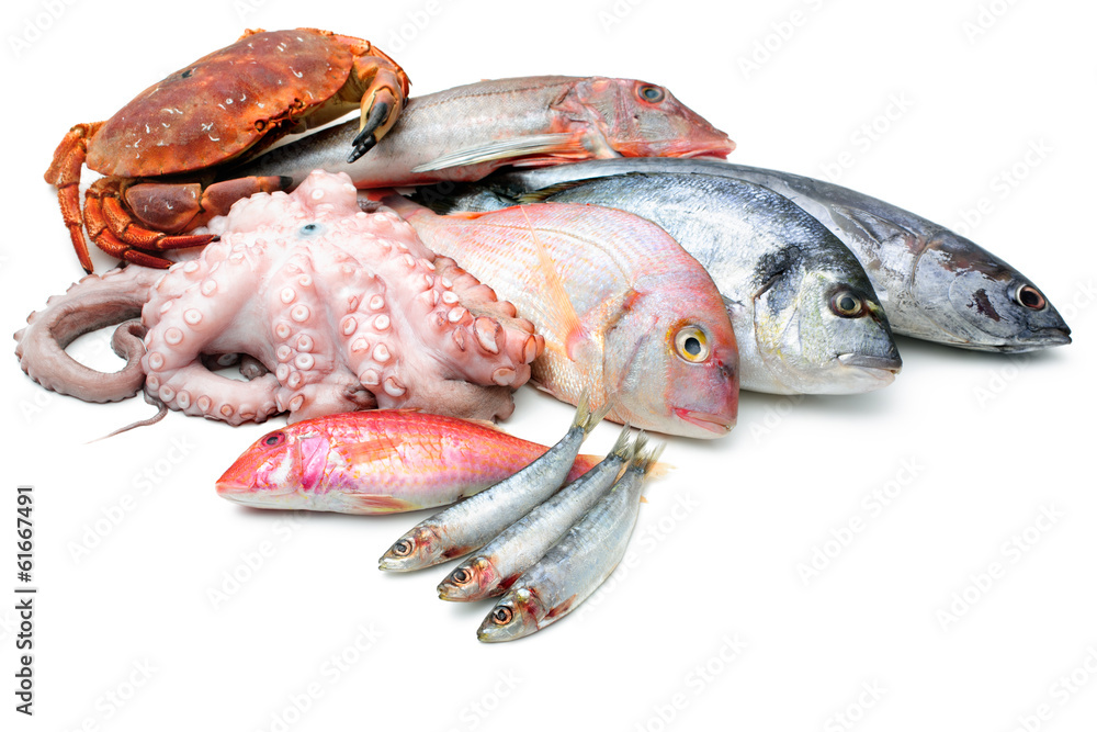 seafood isolated on white background