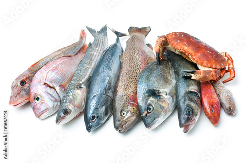 seafood isolated on white background photo