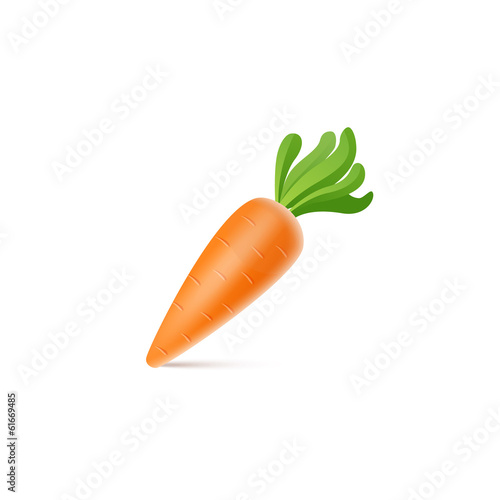Vector isolated carrot