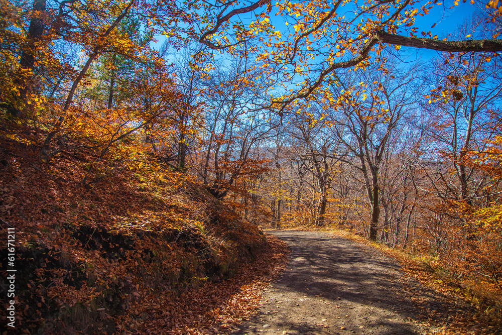 Autumn Landscape