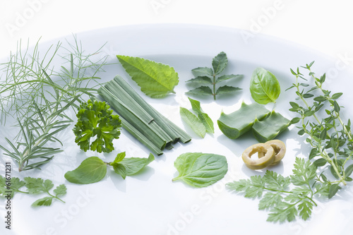 Herb arranged in a line on white round plate