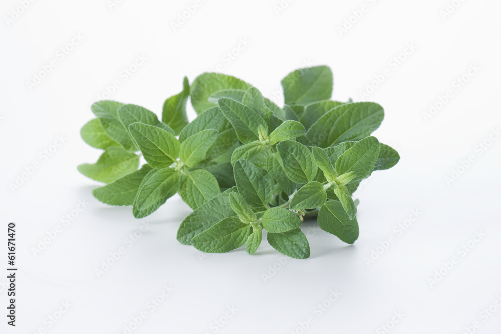 Cherry sage Cherry sage