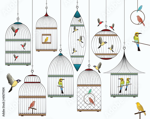 birds and birdcages collection