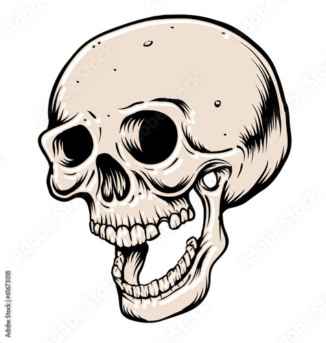 Head skull