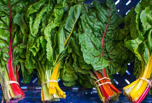 Fotografija Multi-colored rainbow chard at local farm market
