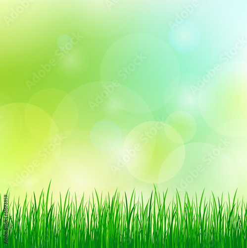 spring background with green grass
