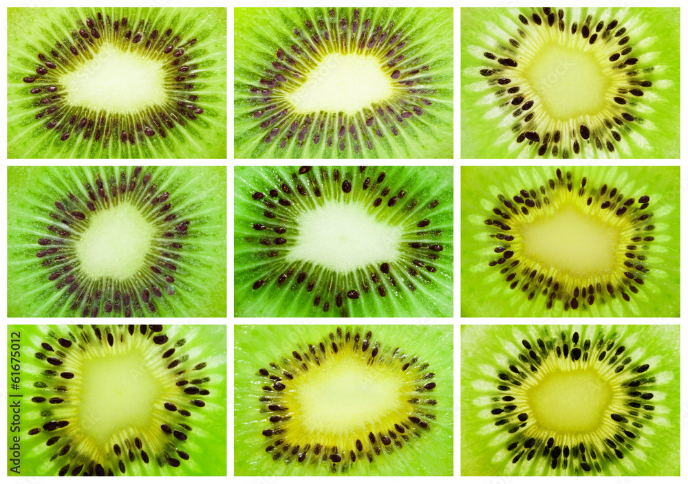 Fototapeta premium Kiwi