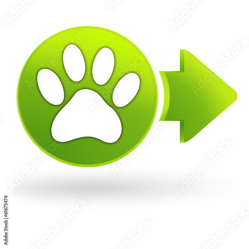 patte de chien sur symbole web vert