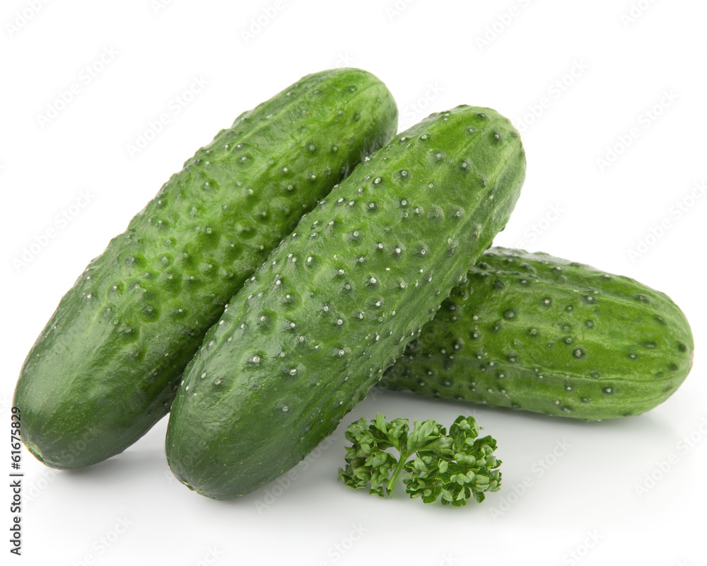 Cucumber Cucumber