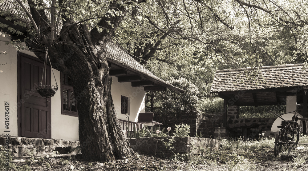 Obraz premium Courtyard