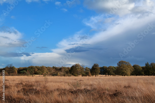 autumn meadow over blue sky
