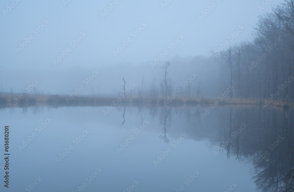 wild lake in forest and dense fog