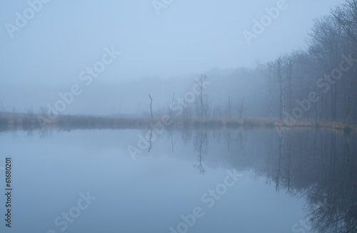 wild lake in forest and dense fog