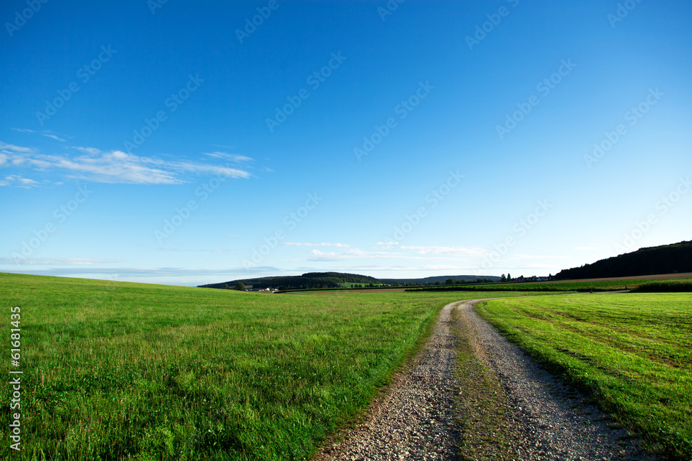 Feldweg inmitten grüner Wiesen