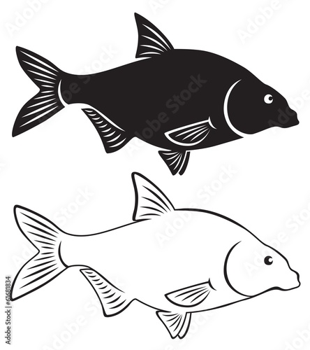 bream