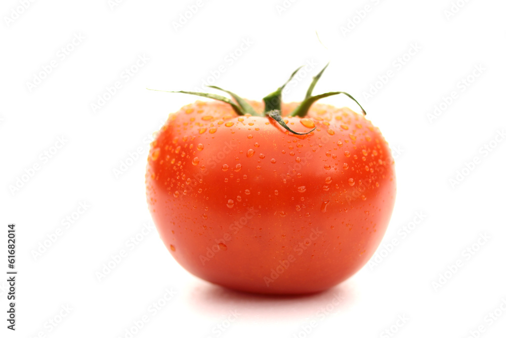 custom made wallpaper toronto digitalpomidor