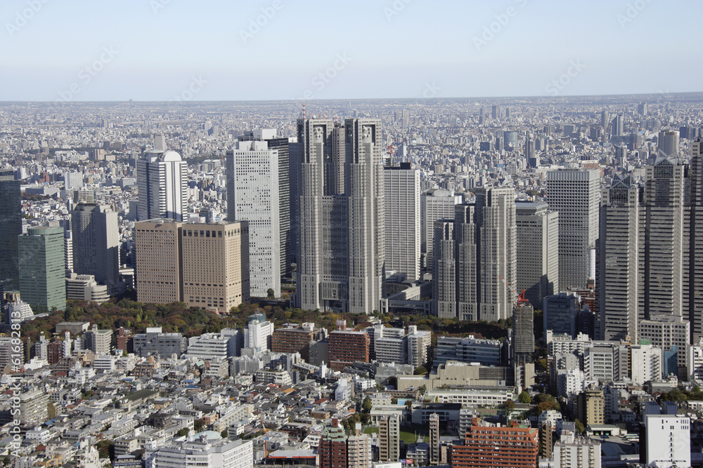 Aerial view of Shinjuku subcenter areas