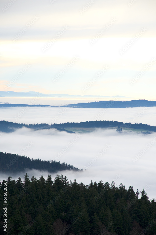Fototapeta premium Schwarzwald, Black Forest, Germany